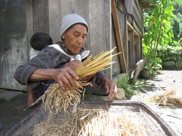 Mayoyao Rice Terraces