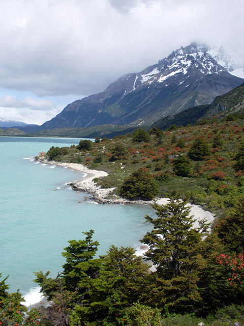 View in Patagonia