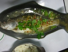 Thai Lemon Snapper blah kah pung manow