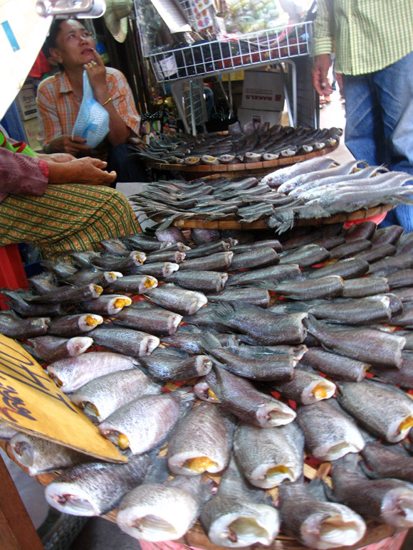 dried fish in thailand