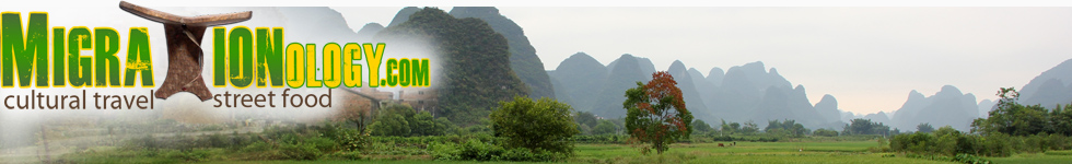 Cultural Travel and Street Food Around the World | Migrationology
