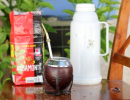 What is Yerba Mate?
