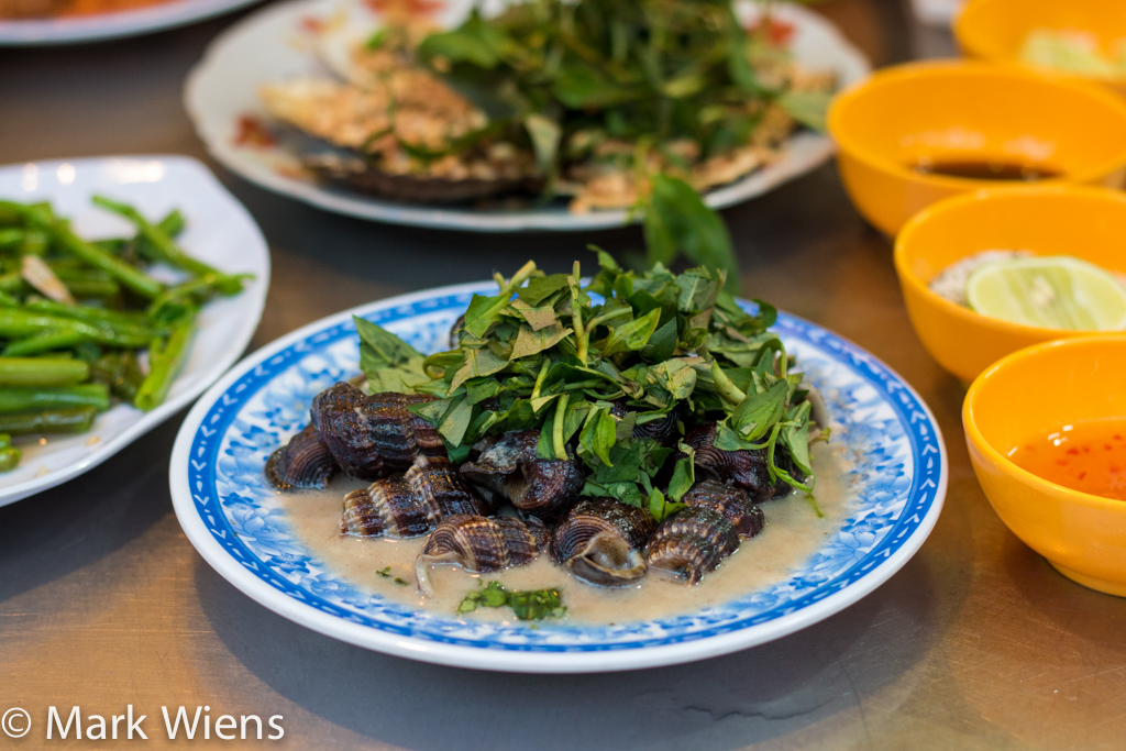 eating mud creeper snails