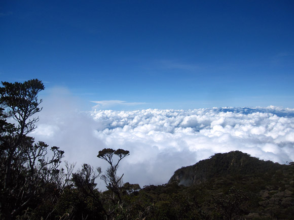 mount kinabalu clouds hovering