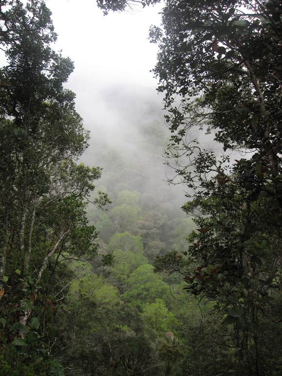 mount kota kinabalu trek