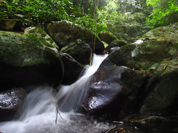 mount kota kinabalu trek