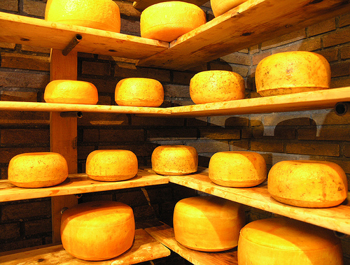 Netherlands cheese