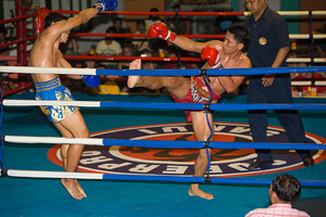 Train Muay Thai