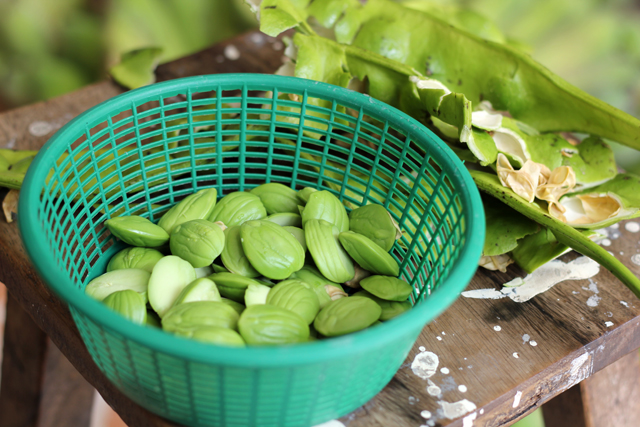 Peeling the stink beans!