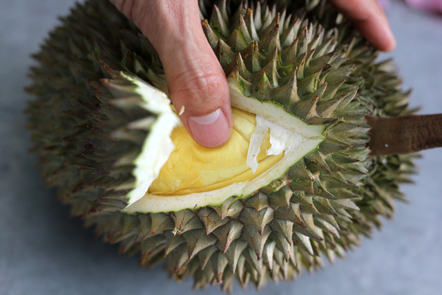 Durian: The King of Fruits – Absolutely Delicious, But The Smell