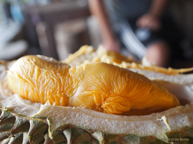 How To Love Durian On Your First Bite Or Increase Your Chances