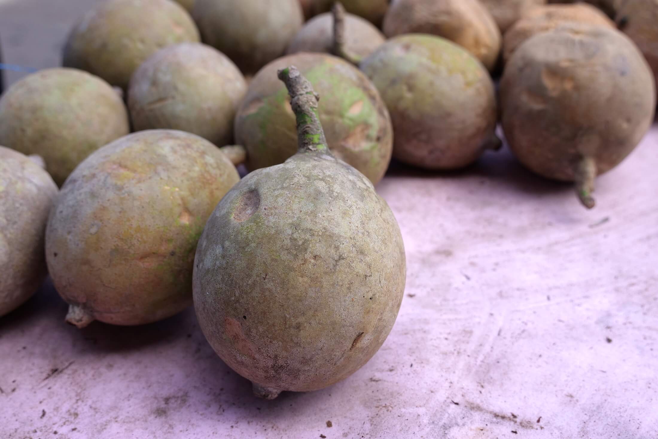 Weird and wonderful fruits awaiting you in Manaus