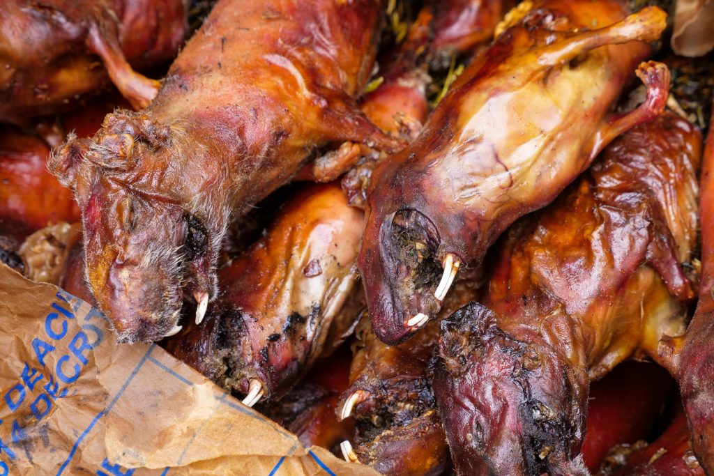 Image showcasing 'Cuy,' Traditional Andean Food - Guinea Pig Feast in Cuzco, Peru