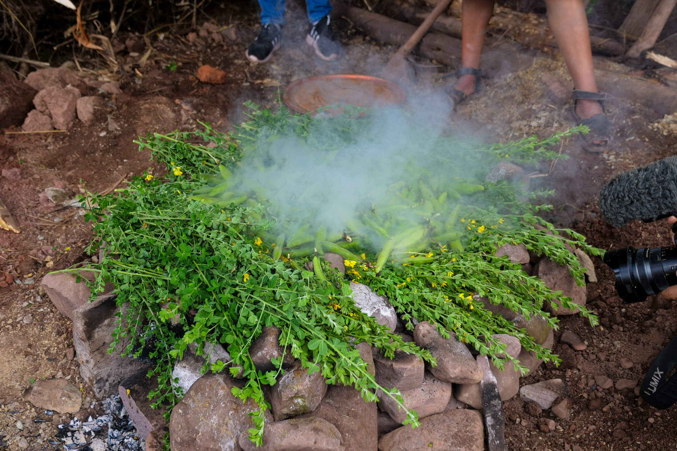 Herbs and Beans are last to sort of seal up the Pachamanca with aromatic flavor