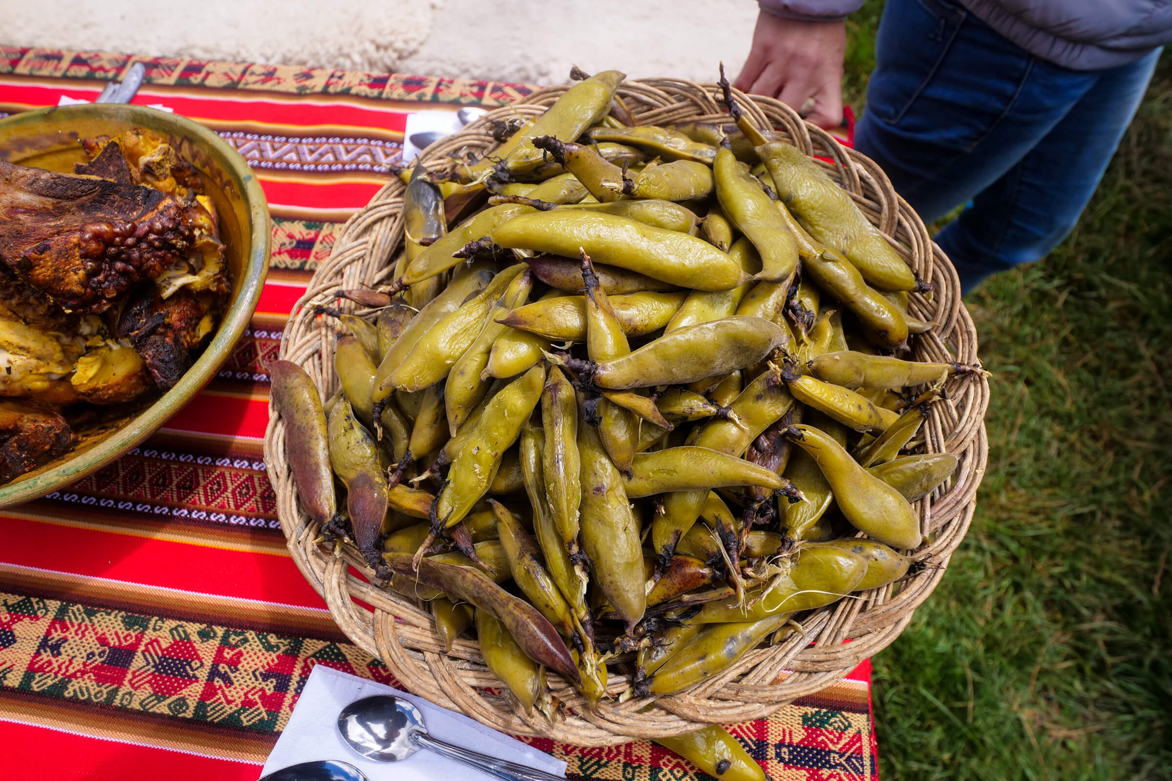 Fava Beans, Broad Beans, Faba Beans, a Key part of Pachamanca
