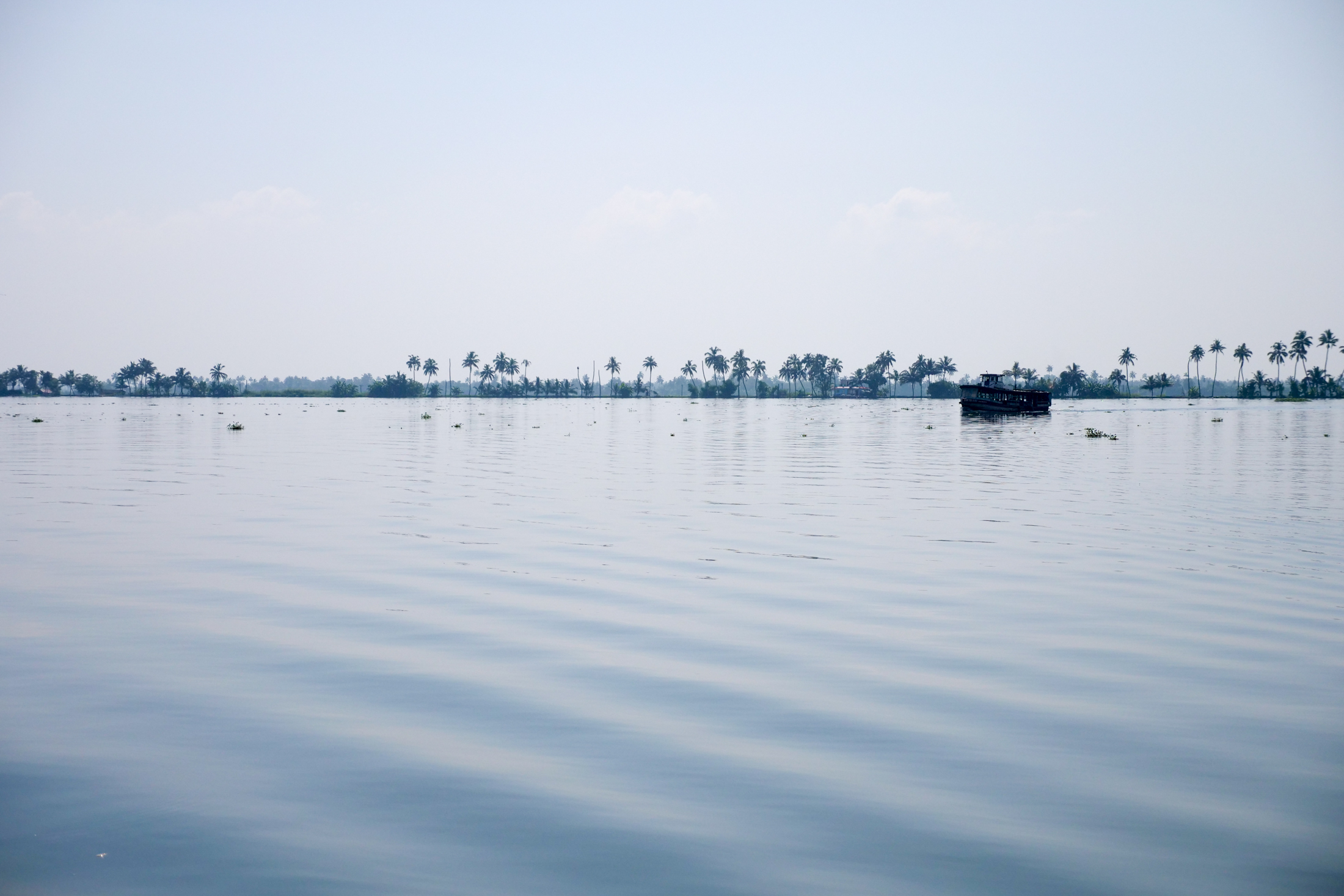 Quiet and Serene, the setting for this ultimate feast of Toddy Shop cuisine could not be more peaceful