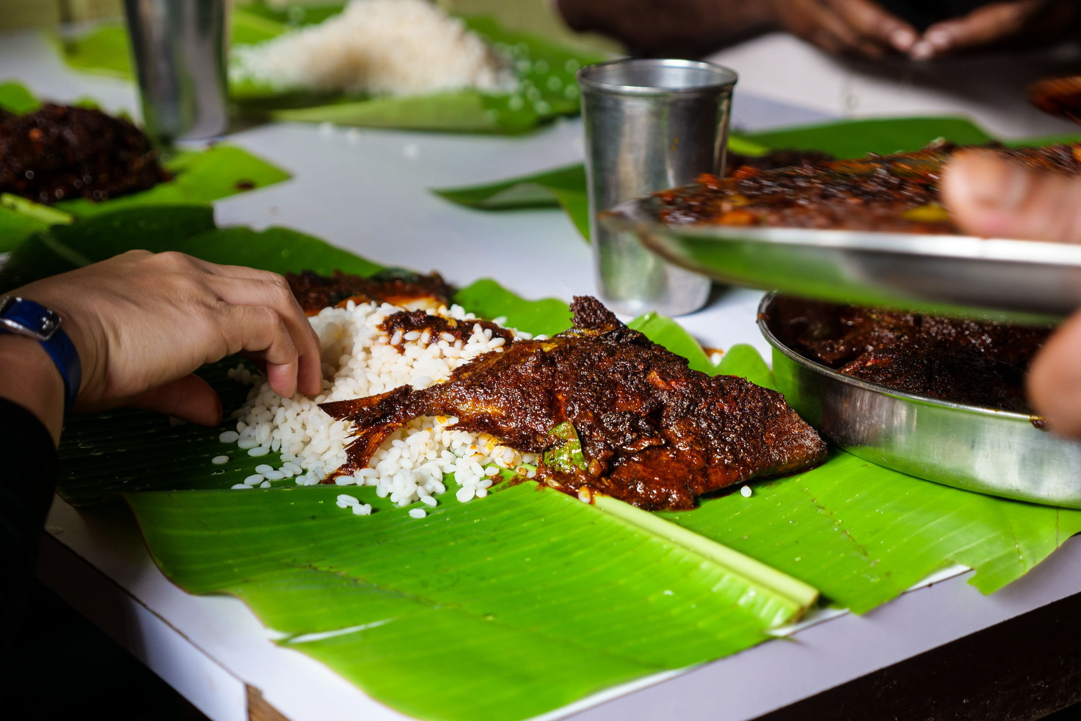 Every meal at Amma Hotel is full of amazing seafood, but this Kerala Fish Fry is what keeps you coming back, the highlight of every meal